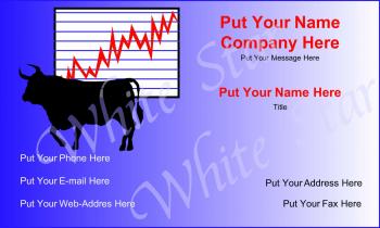 Financial Professional Bull Market
