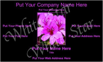 Florist Professional 0003