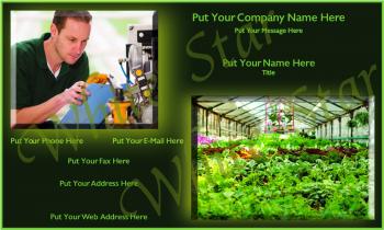 Greenhouse Professional View of Plants