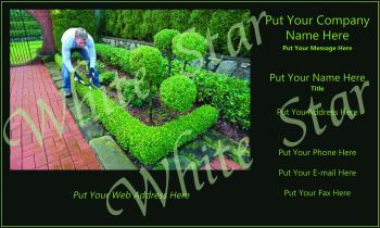 Landscape Professional Work Sample 