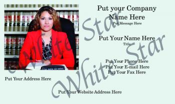 Legal Professional Attorney and Library