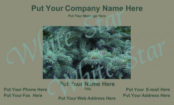 Spruce General Card 0018