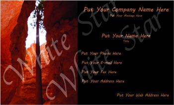 Travel Agency Professional Tree in Narrows
