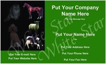 Veterinarian Professional Variety of Animals