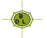 Beeline Advertising Logo
