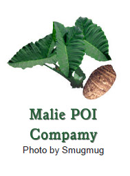 Melie POI Company Logo